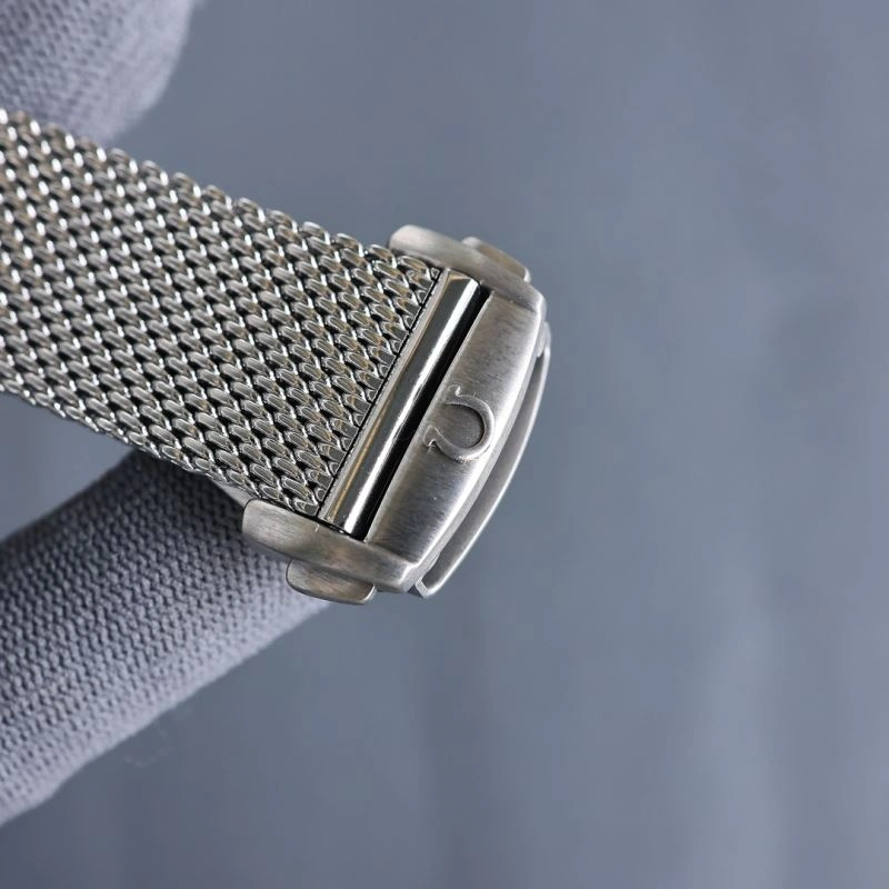 Seasonal OMEGA Watches 191740
