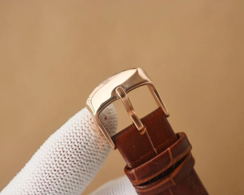 WellDesigned OMEGA Watches 191705