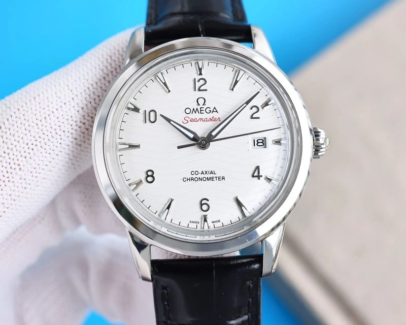 OMEGA Watches EasyCare 191641