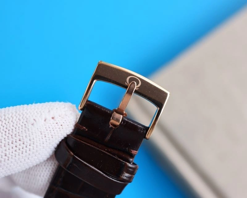 OMEGA Watches EasyCare 191641