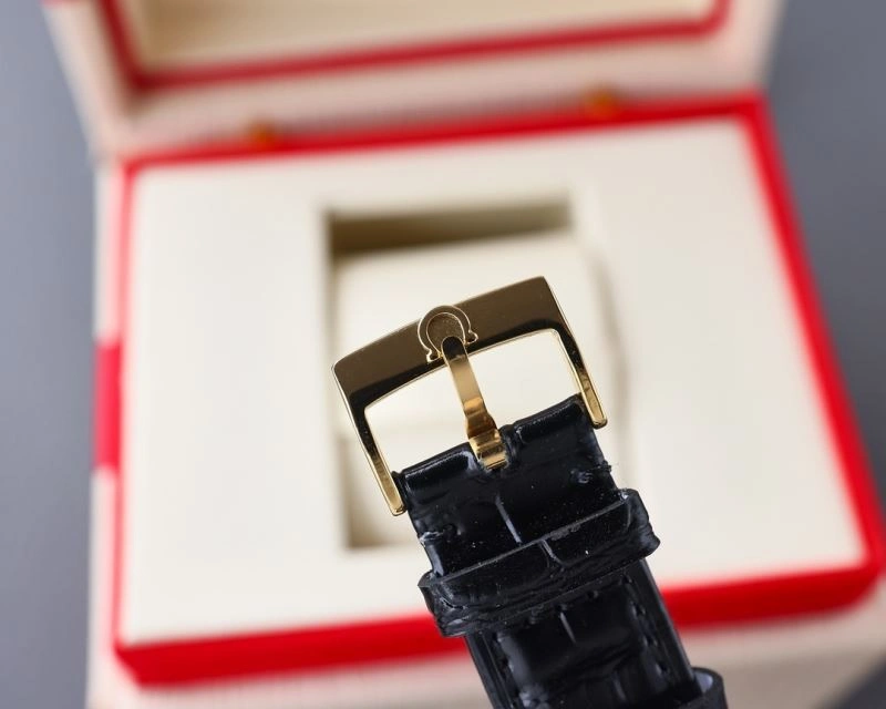 Sophisticated OMEGA Watches 191614