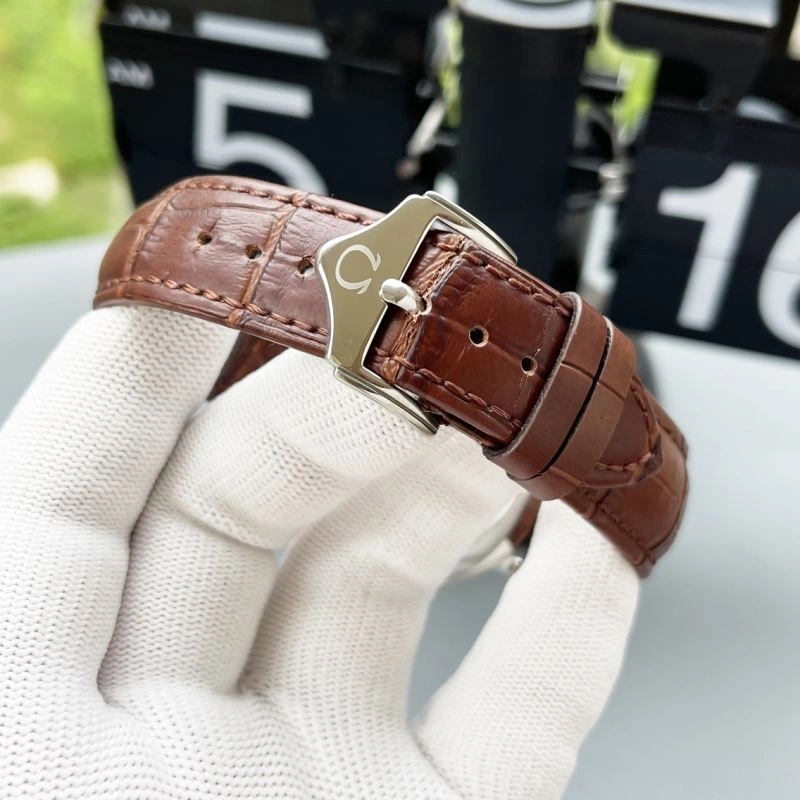 OMEGA Watches Trendsetting 191560