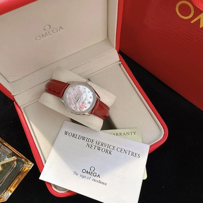GoAnywhere OMEGA Watches 191508