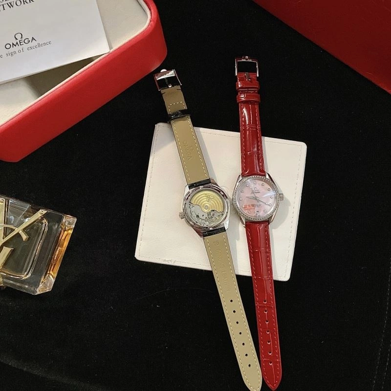 GoAnywhere OMEGA Watches 191508