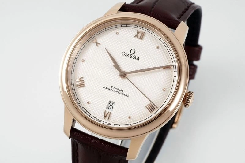 OMEGA Watches GoAnywhere 191420