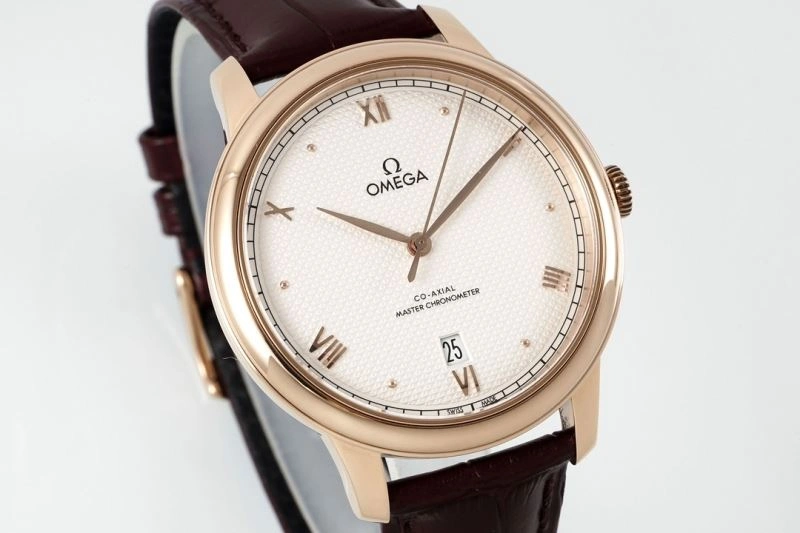 OMEGA Watches GoAnywhere 191420