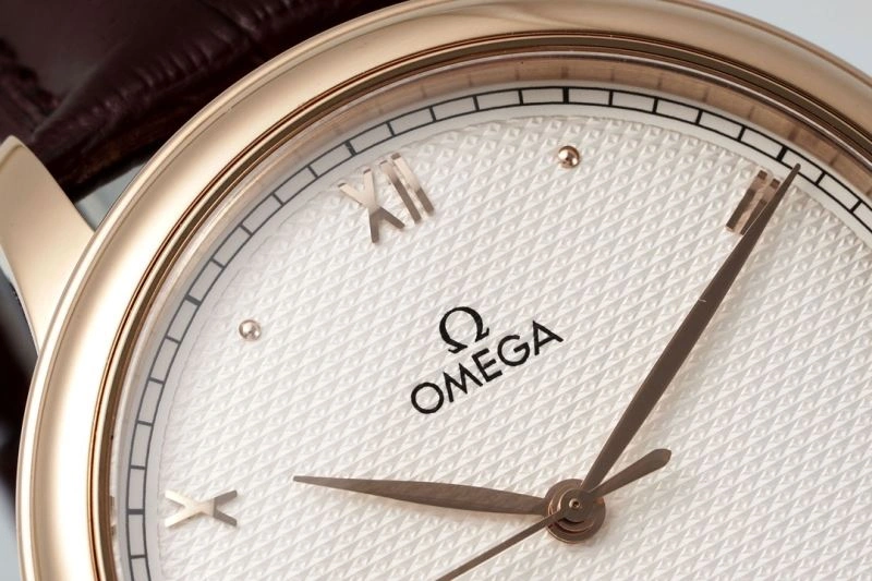 OMEGA Watches GoAnywhere 191420