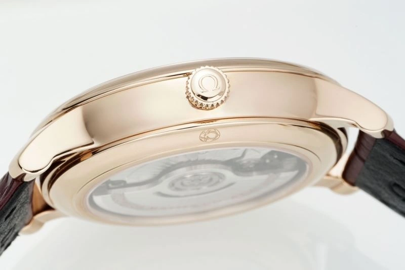 OMEGA Watches GoAnywhere 191420