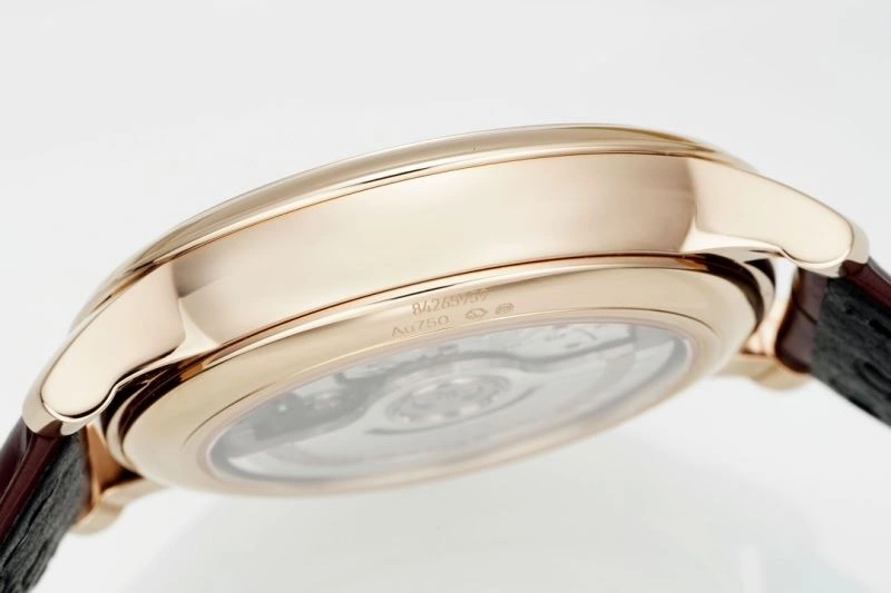 OMEGA Watches GoAnywhere 191420