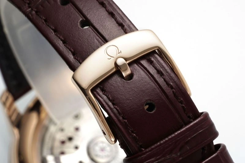 OMEGA Watches GoAnywhere 191420