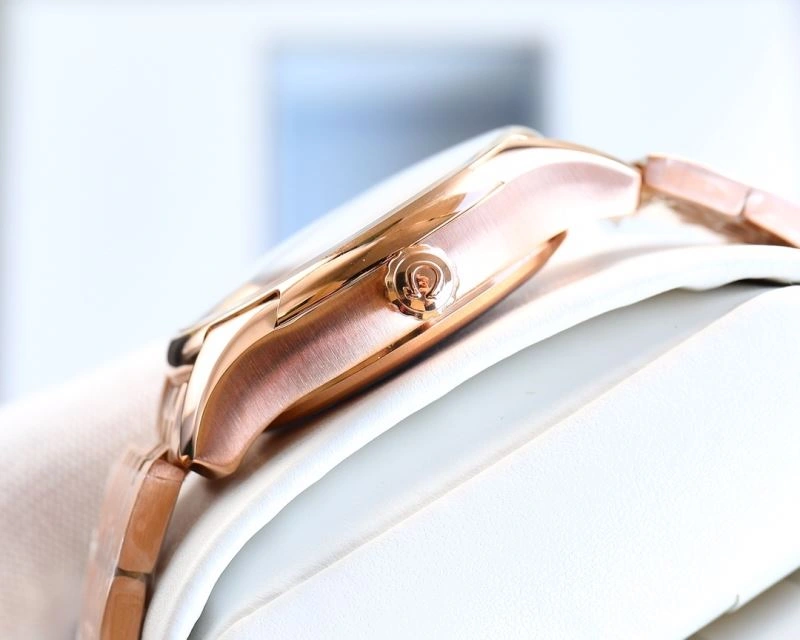 OMEGA Watches Unisex 191387