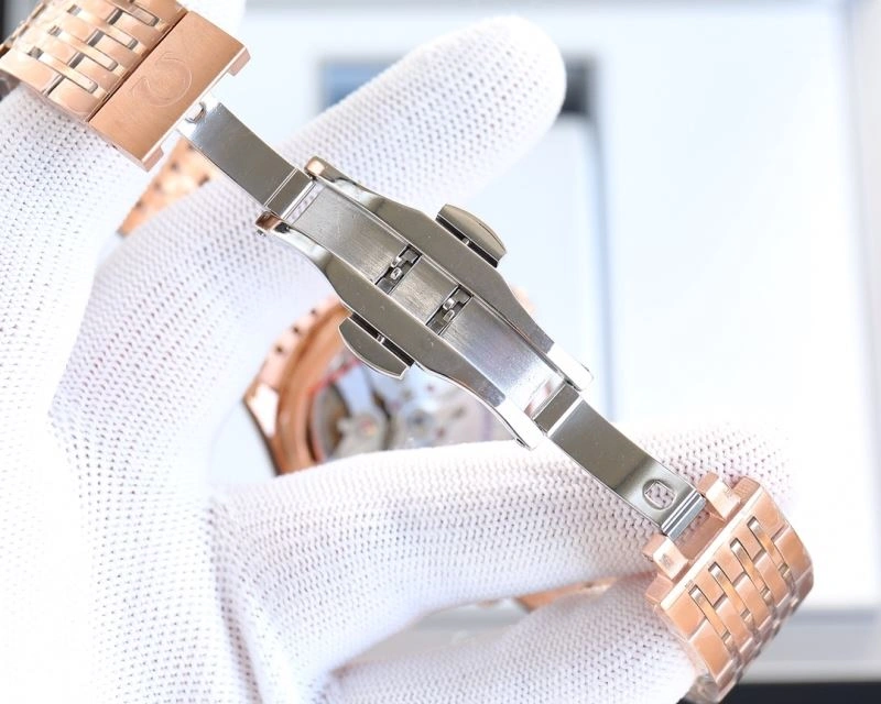 OMEGA Watches Unisex 191387