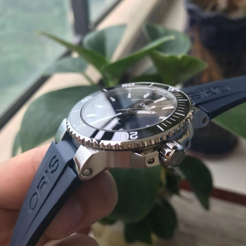 EyeCatching ORIS Watches 193968