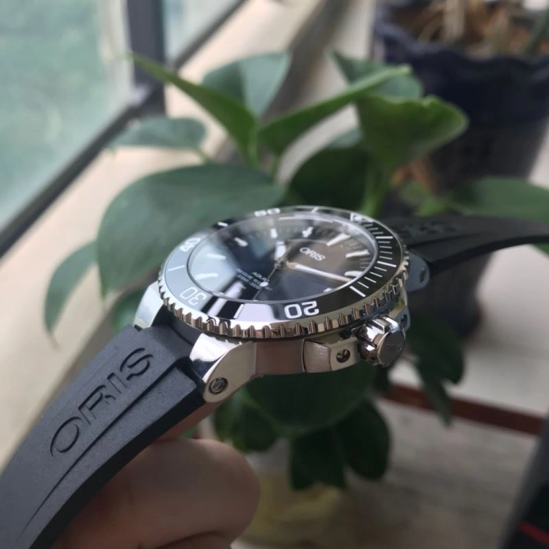 ORIS Watches Stylish 193966