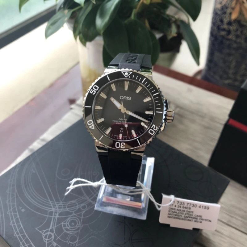 ORIS Watches Stylish 193966