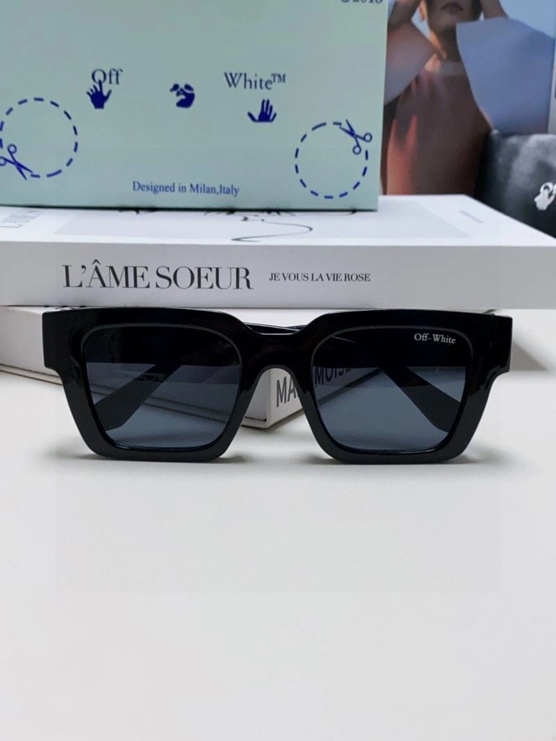 Chic Off White Sunglasses 281776
