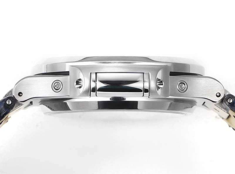 FlexibleFit PATEK PHILIPPE Watches 198344