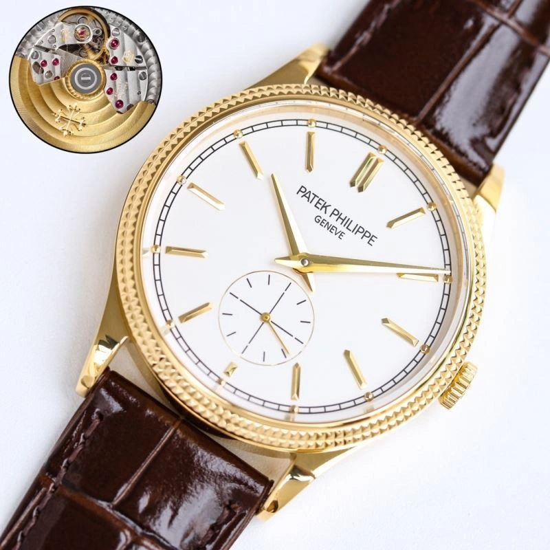 TechFriendly PATEK PHILIPPE Watches 198231