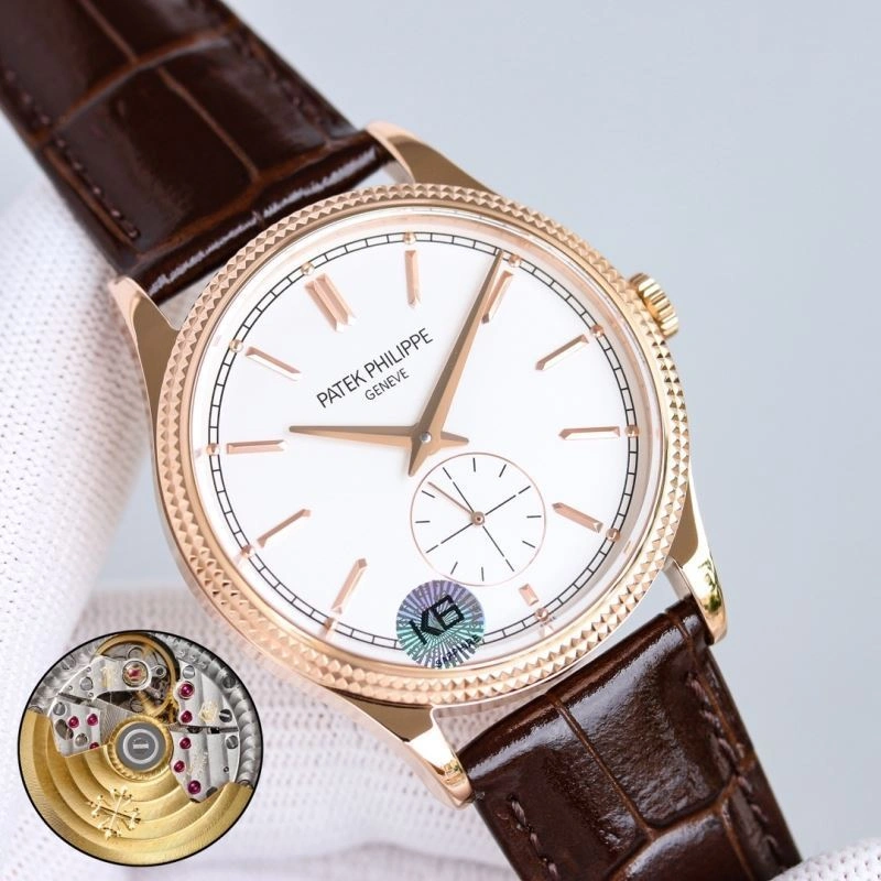 PATEK PHILIPPE Watches Snug 198202