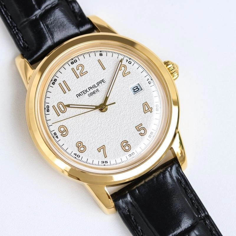 PATEK PHILIPPE Watches WaterResistant 198170