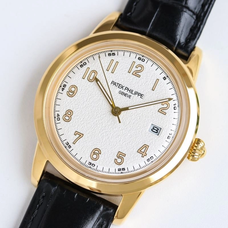 PATEK PHILIPPE Watches WaterResistant 198170