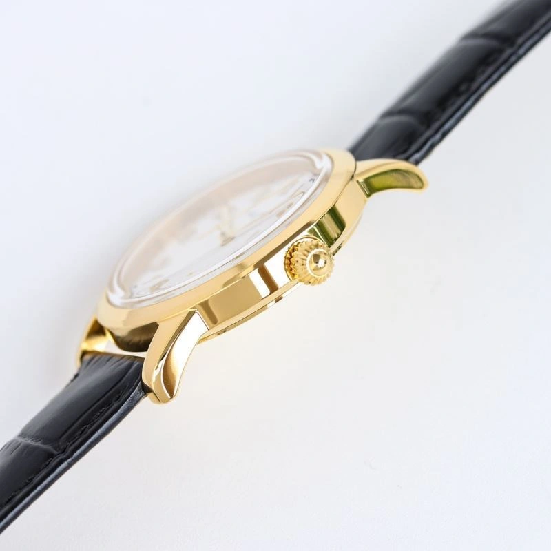 PATEK PHILIPPE Watches WaterResistant 198170