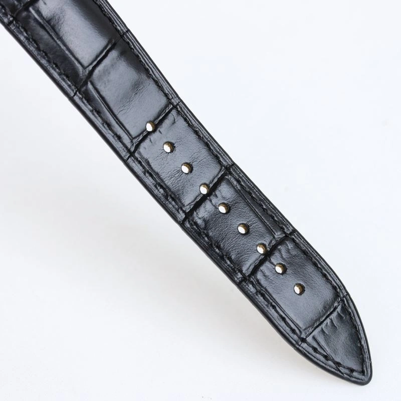 PATEK PHILIPPE Watches WaterResistant 198170