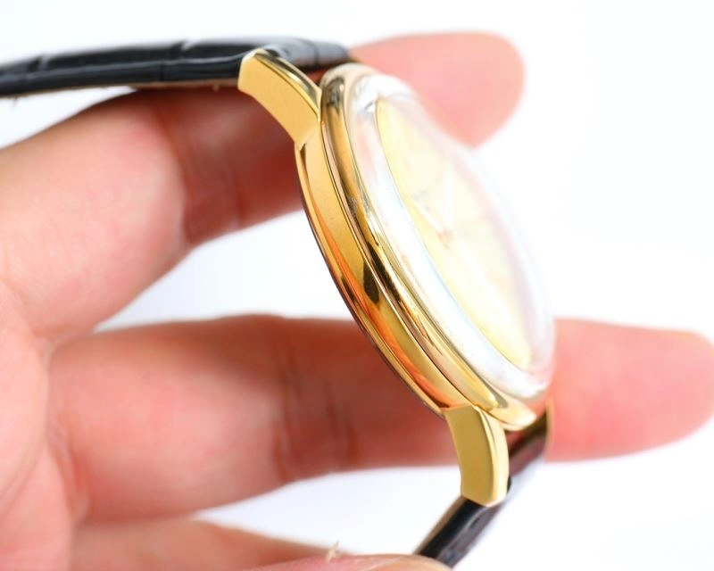 Fashionable PATEK PHILIPPE Watches 198066