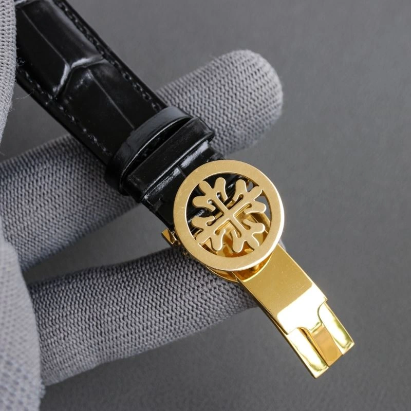 EasyMatch PATEK PHILIPPE Watches 197990