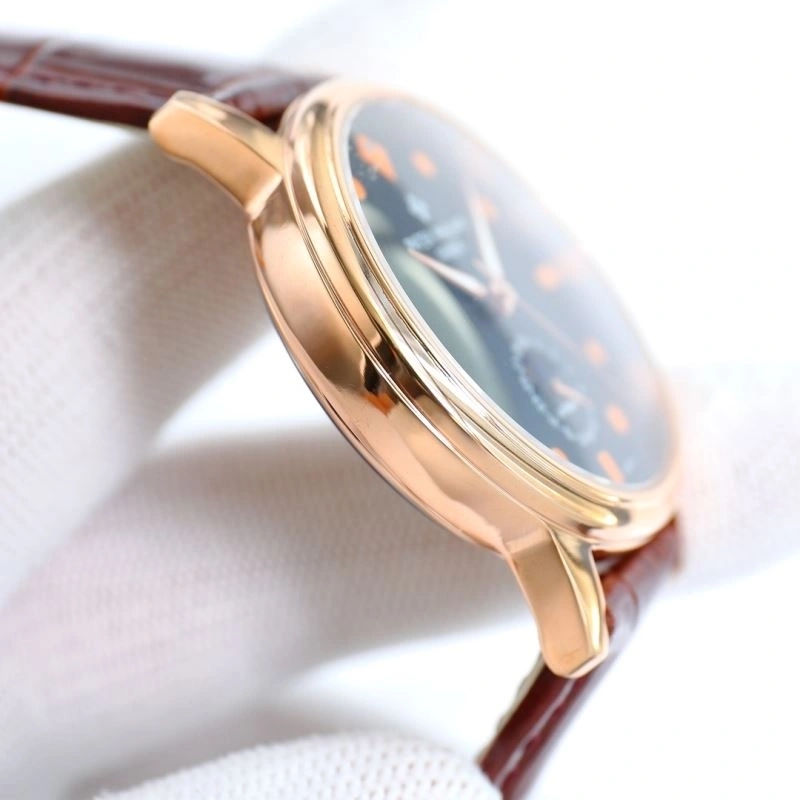 Supportive PATEK PHILIPPE Watches 197899
