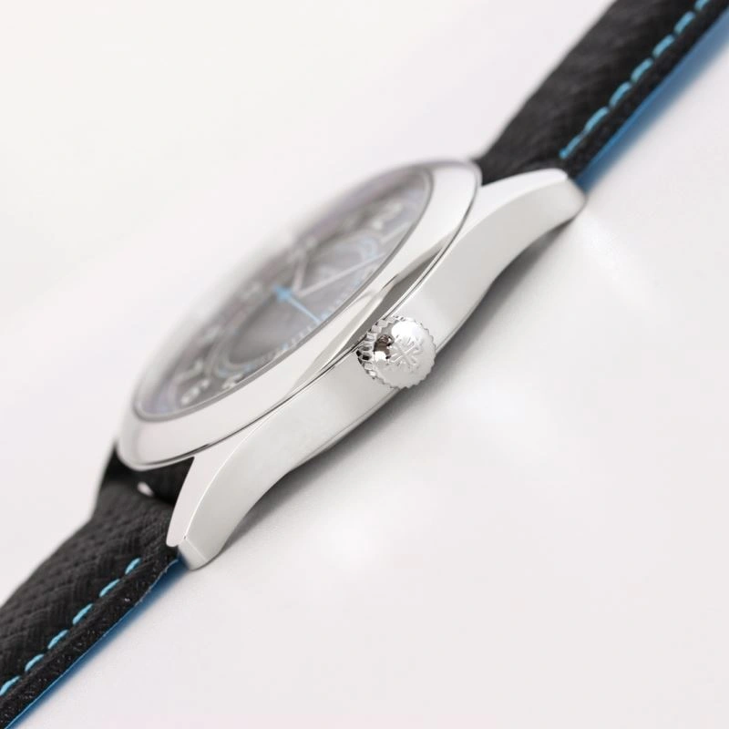WaterResistant PATEK PHILIPPE Watches 197869
