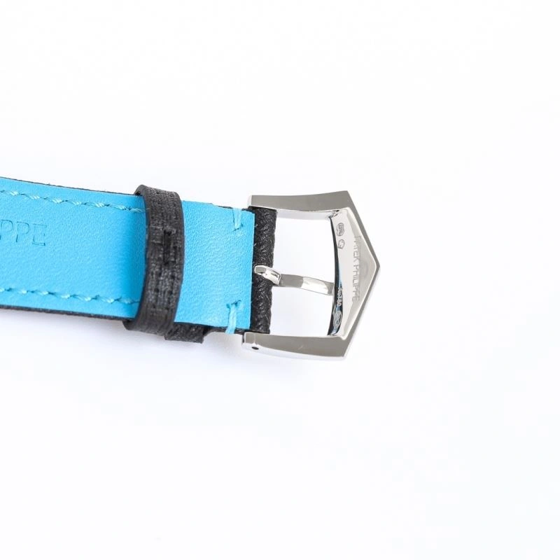 WaterResistant PATEK PHILIPPE Watches 197869