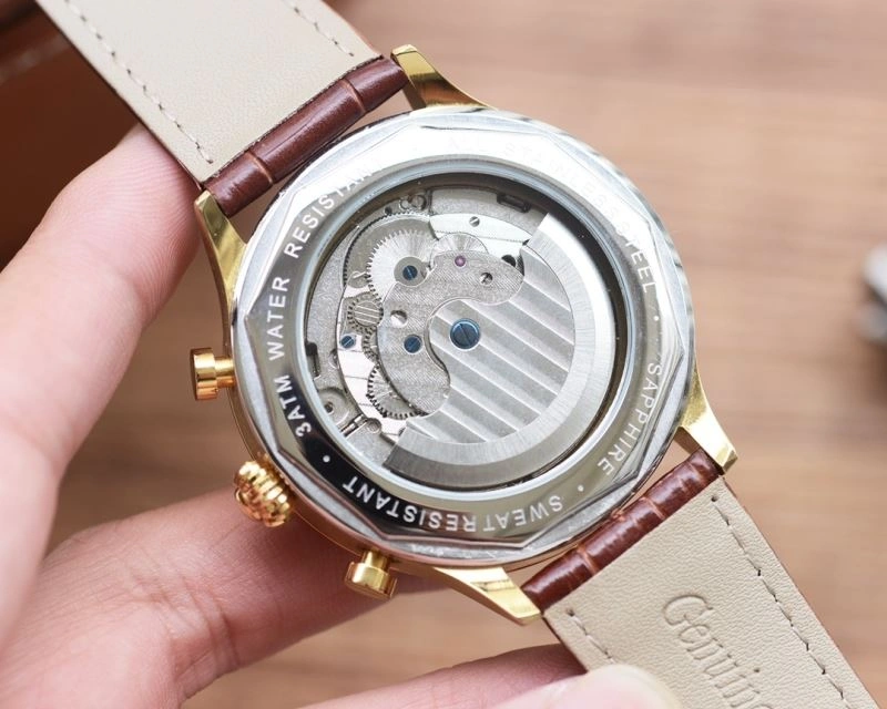 Vibrant PATEK PHILIPPE Watches 197816
