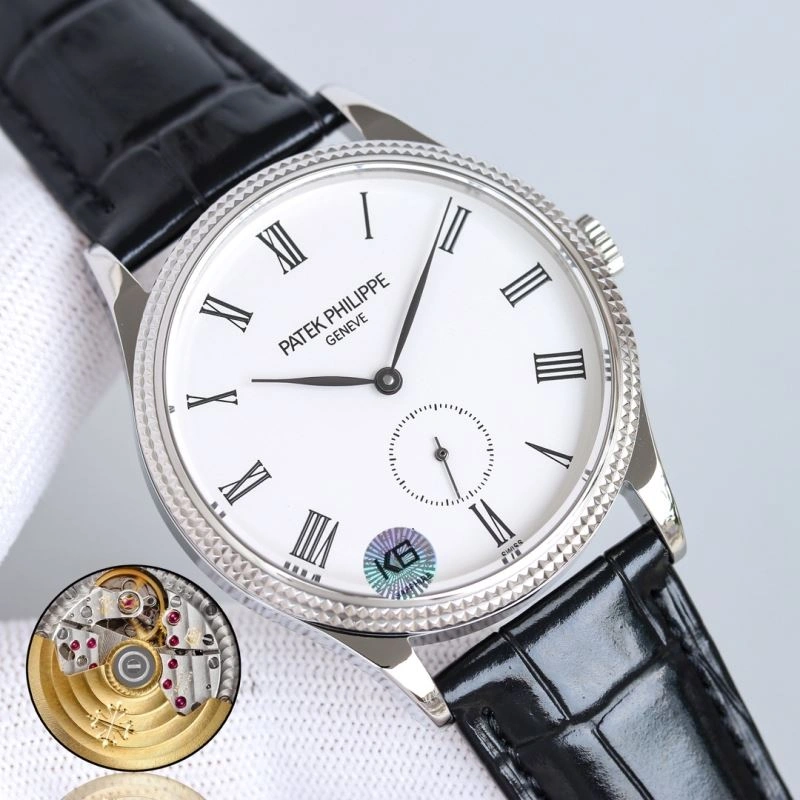 FlexibleFit PATEK PHILIPPE Watches 197713