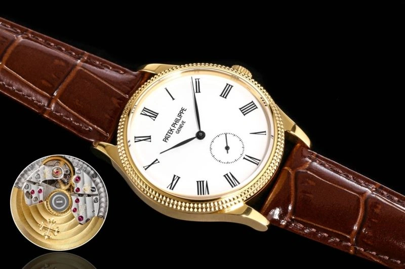 PATEK PHILIPPE Watches DailyWear 197709