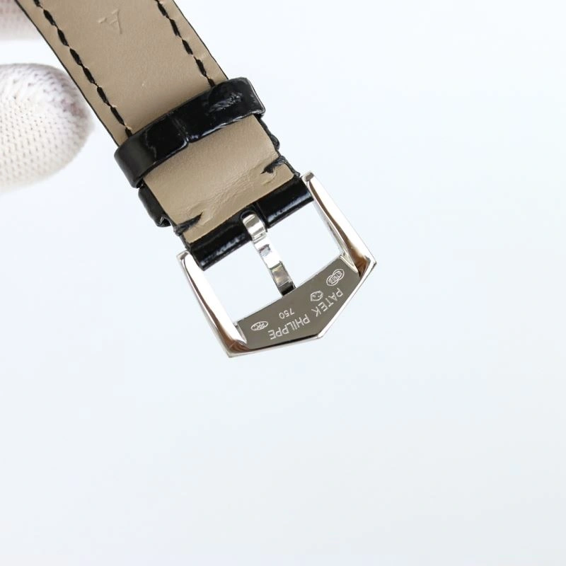 Sophisticated PATEK PHILIPPE Watches 197660