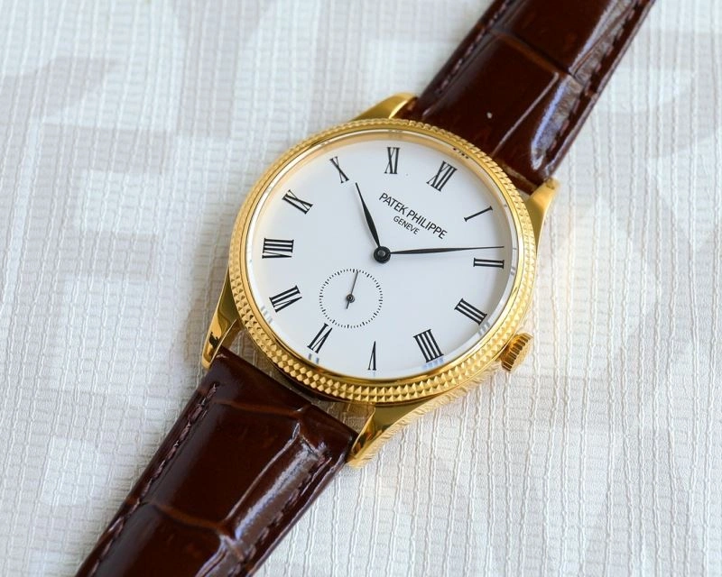 PATEK PHILIPPE Watches Sustainable 197631