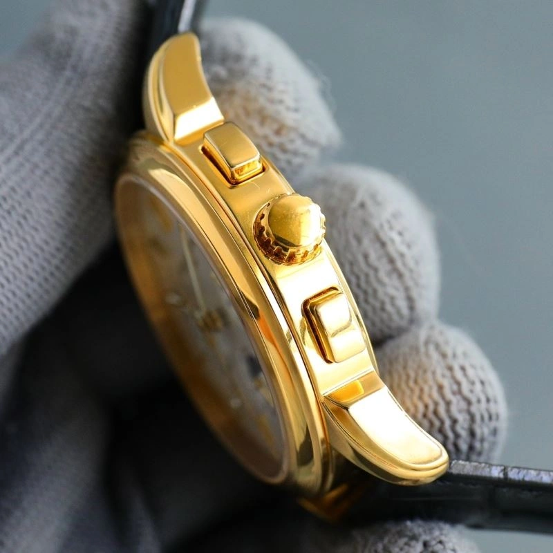 Snug PATEK PHILIPPE Watches 197596