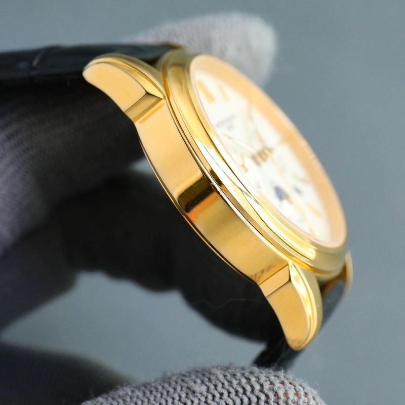 Snug PATEK PHILIPPE Watches 197596