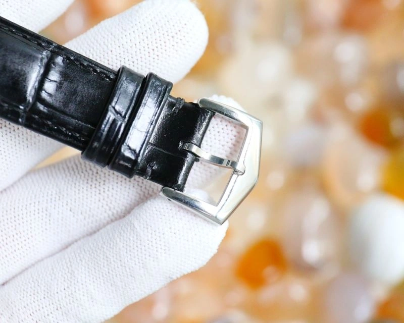 FastDry PATEK PHILIPPE Watches 197578
