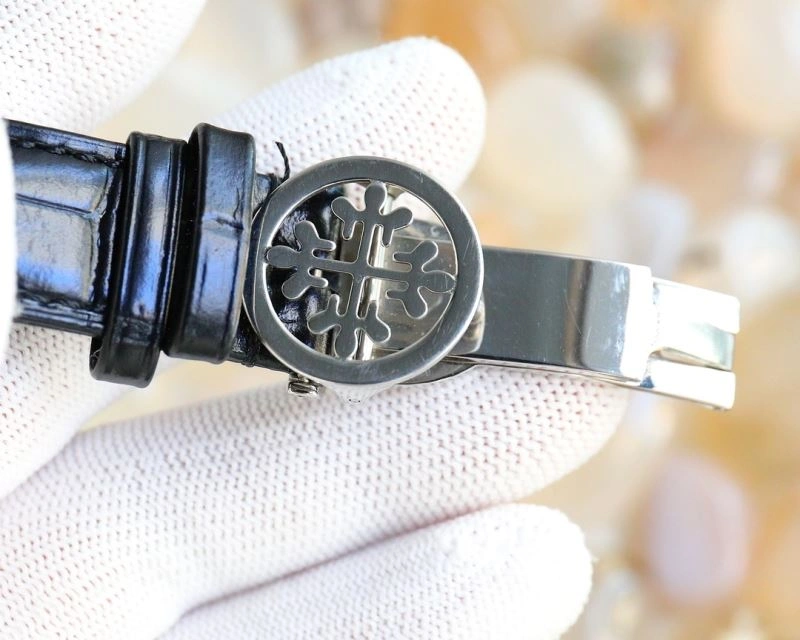 EasyCare PATEK PHILIPPE Watches 197567