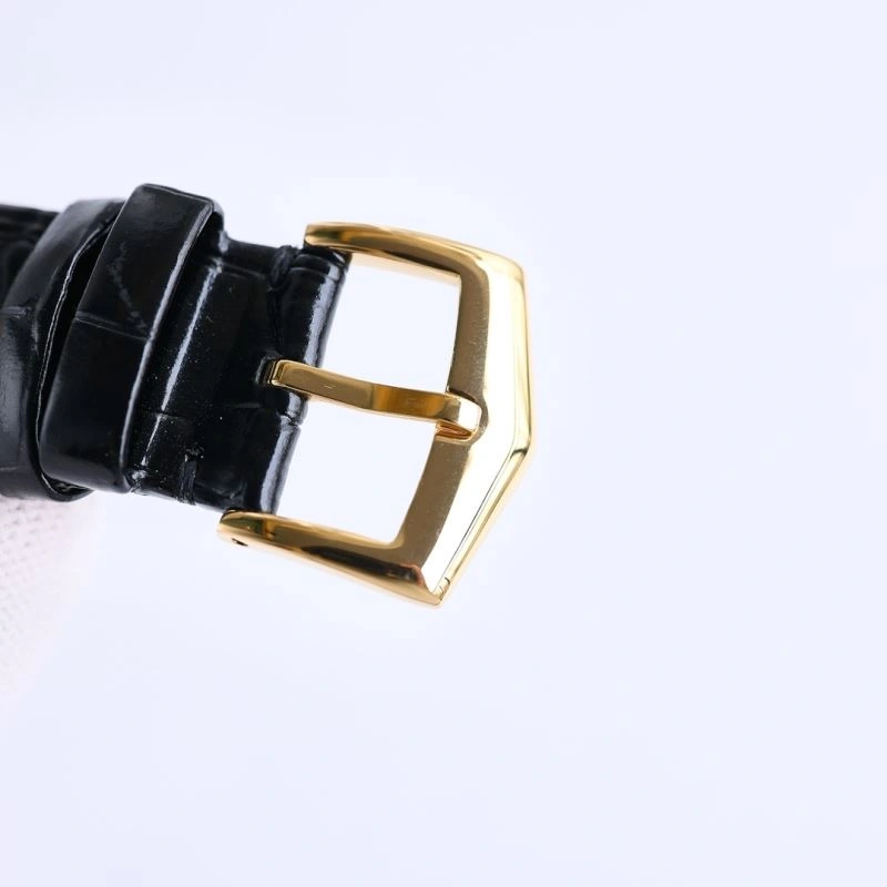 PATEK PHILIPPE Watches FlexibleFit 197530