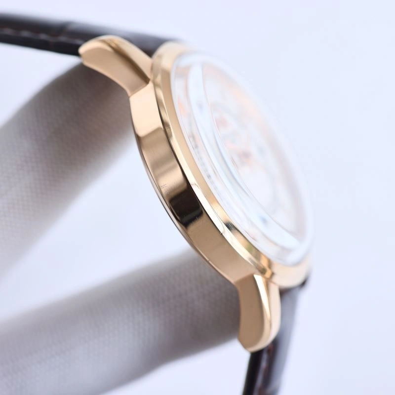 EasyMatch PATEK PHILIPPE Watches 197509