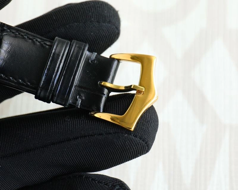 EasyCare PATEK PHILIPPE Watches 197461