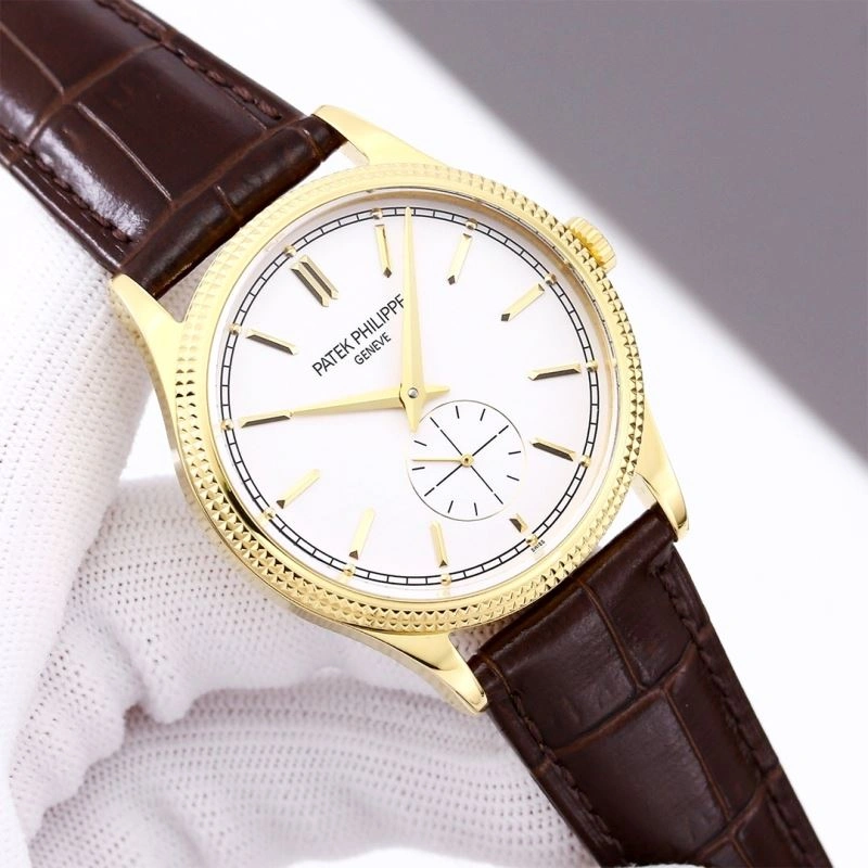 Supportive PATEK PHILIPPE Watches 197376