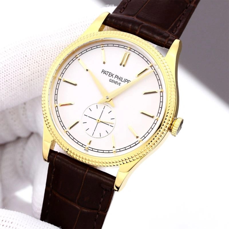Supportive PATEK PHILIPPE Watches 197376