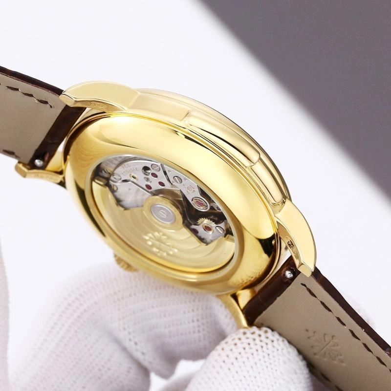 Supportive PATEK PHILIPPE Watches 197370