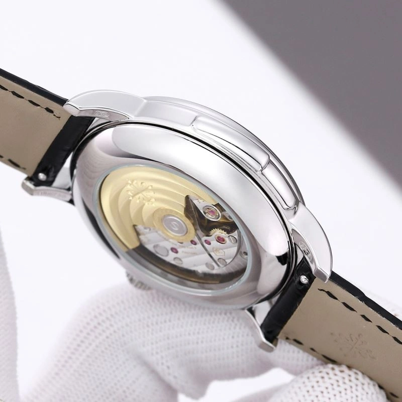 ModernLook PATEK PHILIPPE Watches 197369