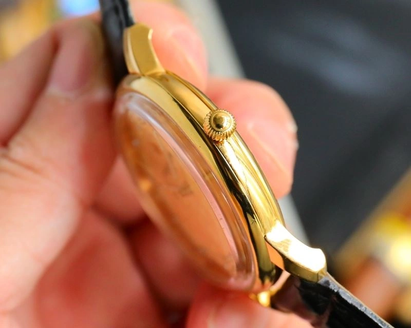 FlexibleFit PATEK PHILIPPE Watches 197354