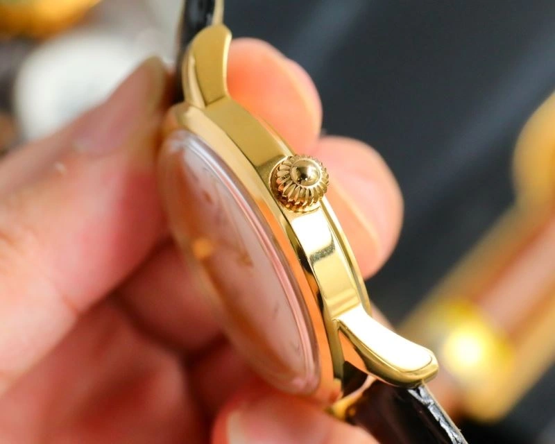 WeatherProof PATEK PHILIPPE Watches 197353